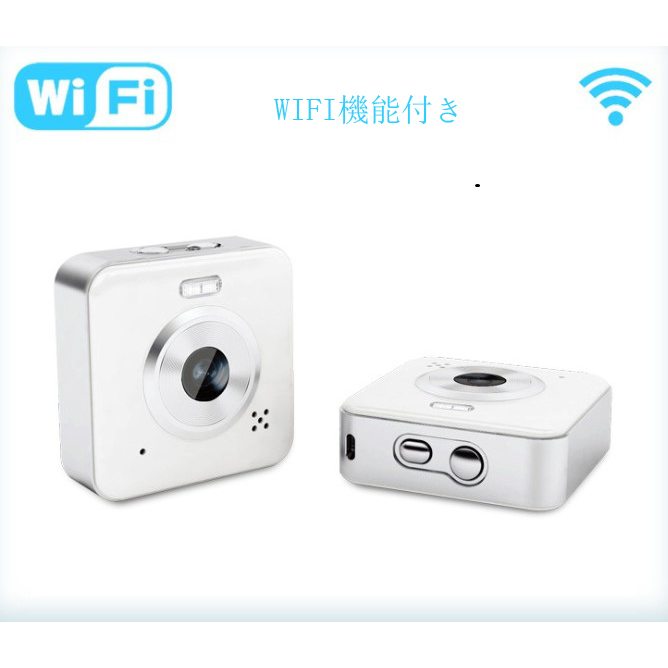 照明型 防犯カメラ